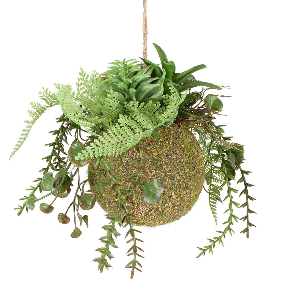 Moana Kokedama blandet hengende