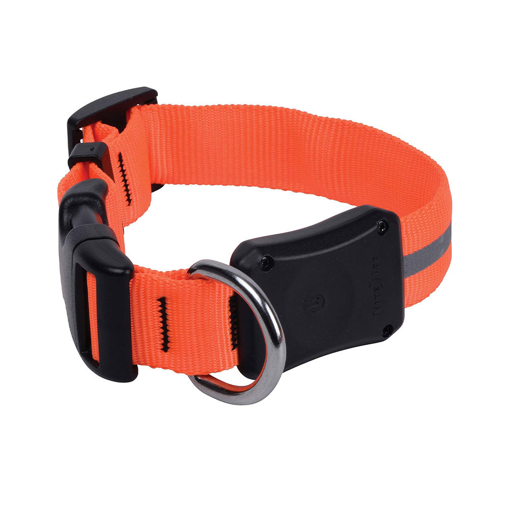 Nite Ize Dawg Collar (Orange)