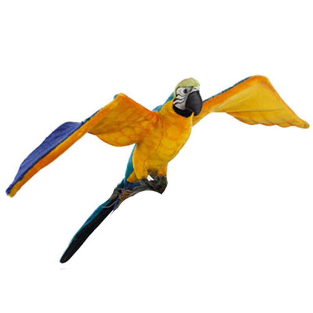 Hansa voando azul e macaw amarelo