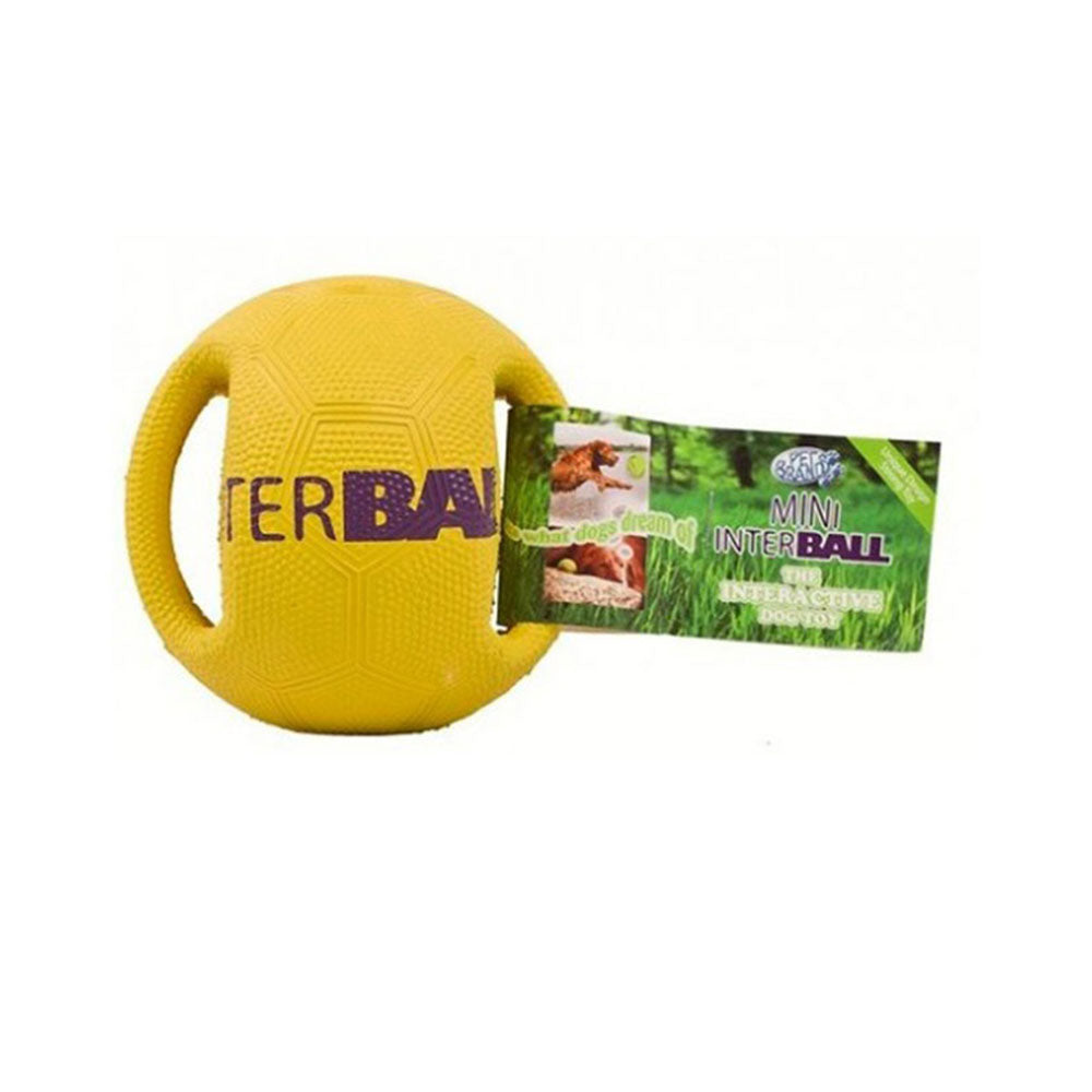 Pet Brands Interball Interactive Dog Toy