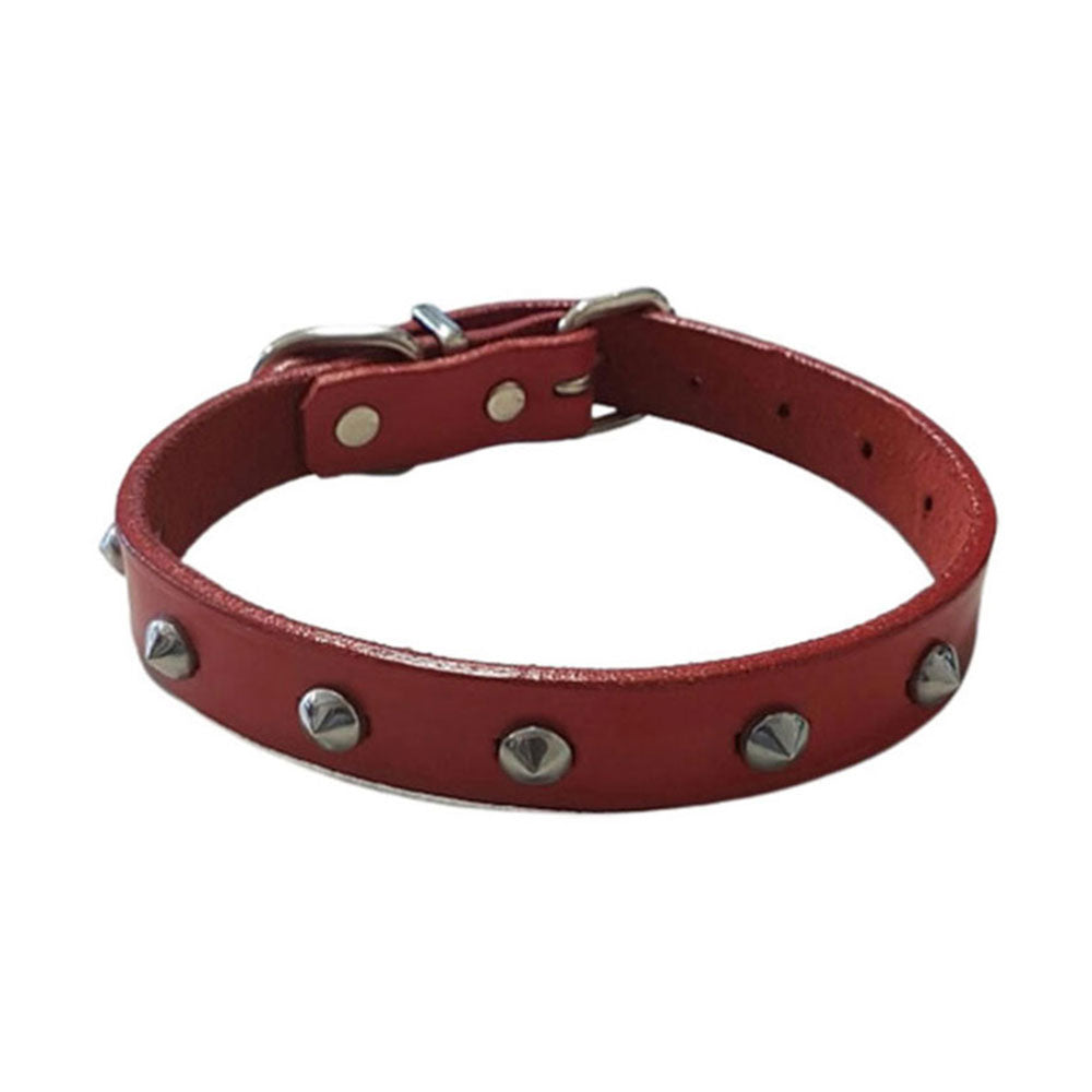 Halsband mit Leder besorgt (rot)