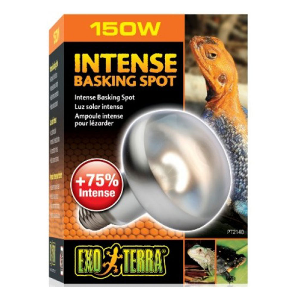 EXO Terra Intense koesteren spotlamp