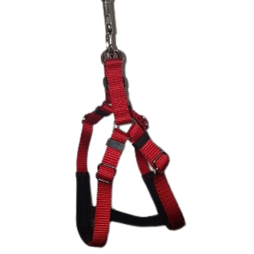 Comfy Pet Harness (extra stor)