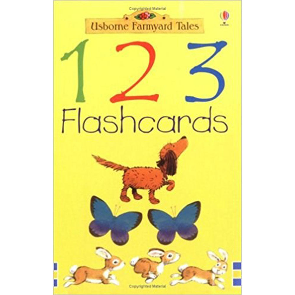 Tarjeta de flash USBORNE para niños