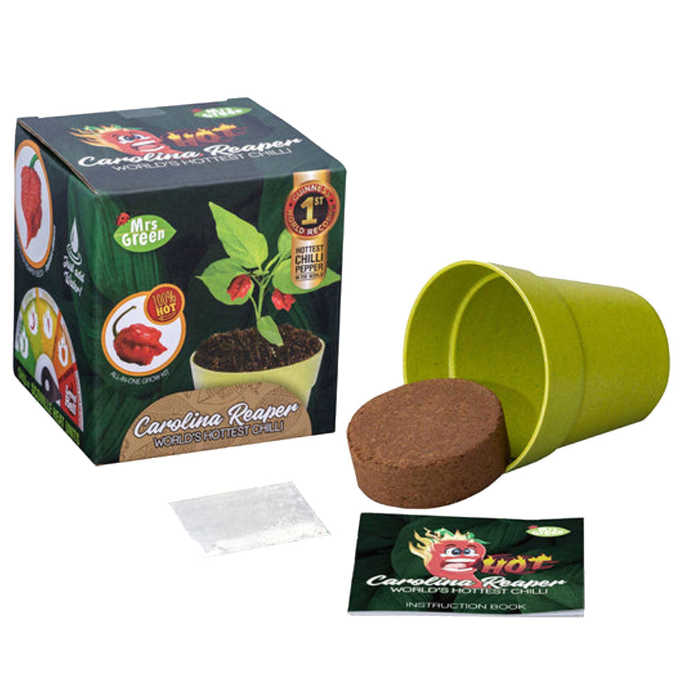 Sra. Green Whimsy Garden Plant Kit