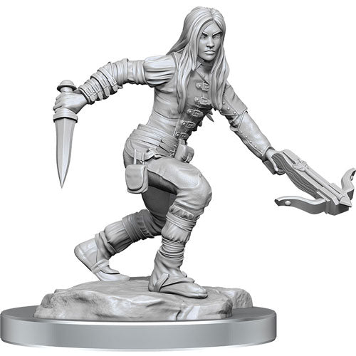 D&D Nolzurs Marvelous Elf Rogue Miniature