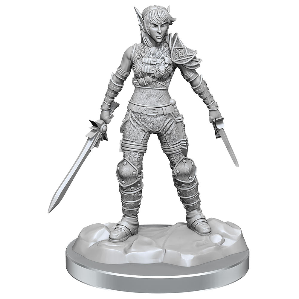 D&D Nolzurs Marvelous Elf Rogue miniature