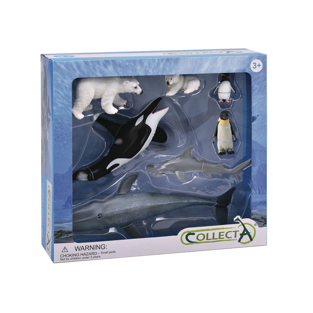 Collecta Sea Life Animal Figuresギフトセット