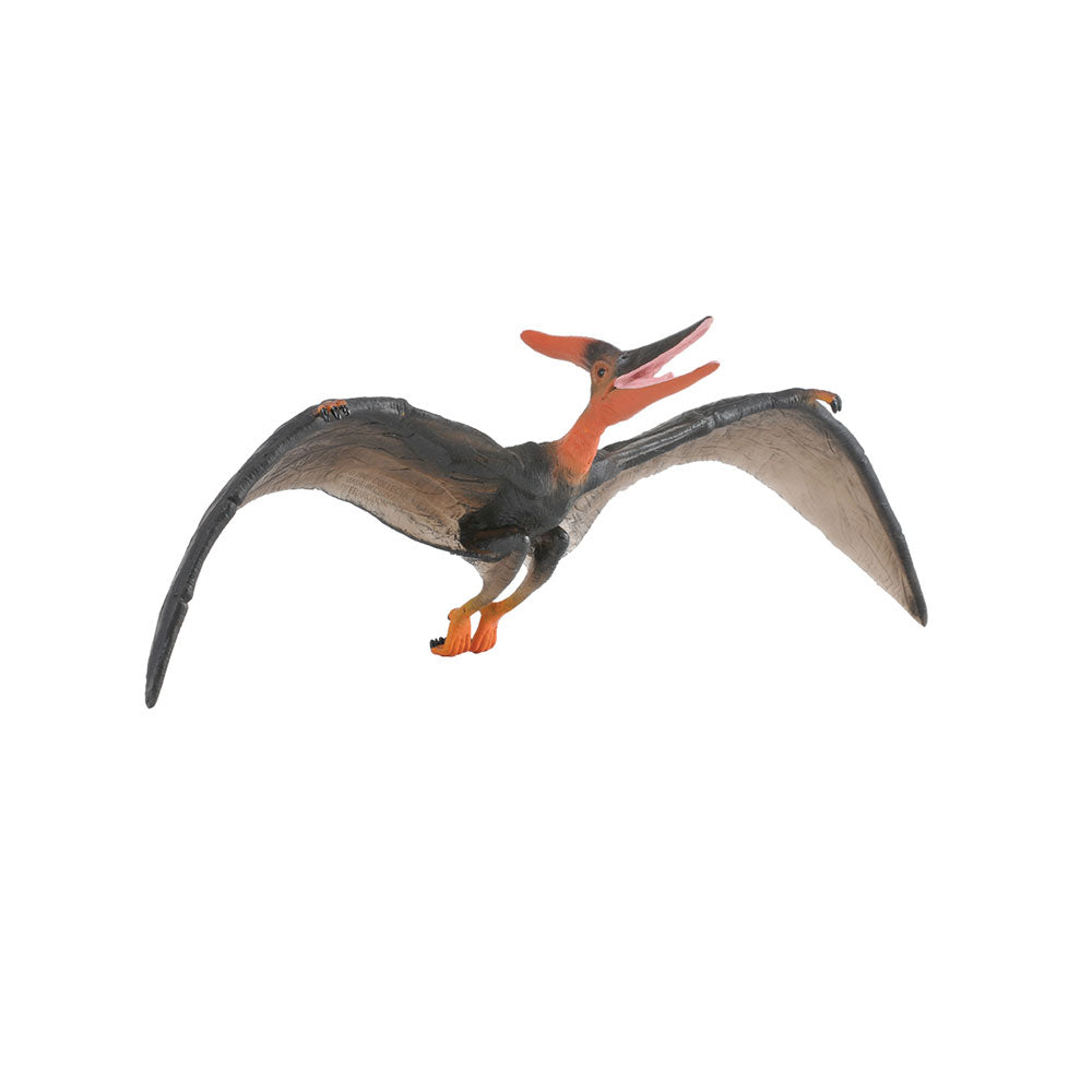 Collecta Pteranodonフィギュア