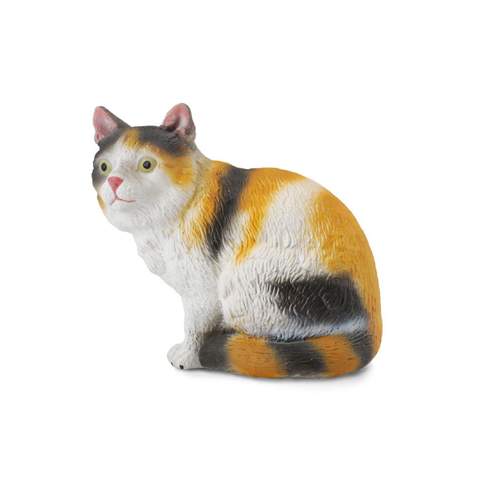 CollectA Moggy Cat Figure (Small)