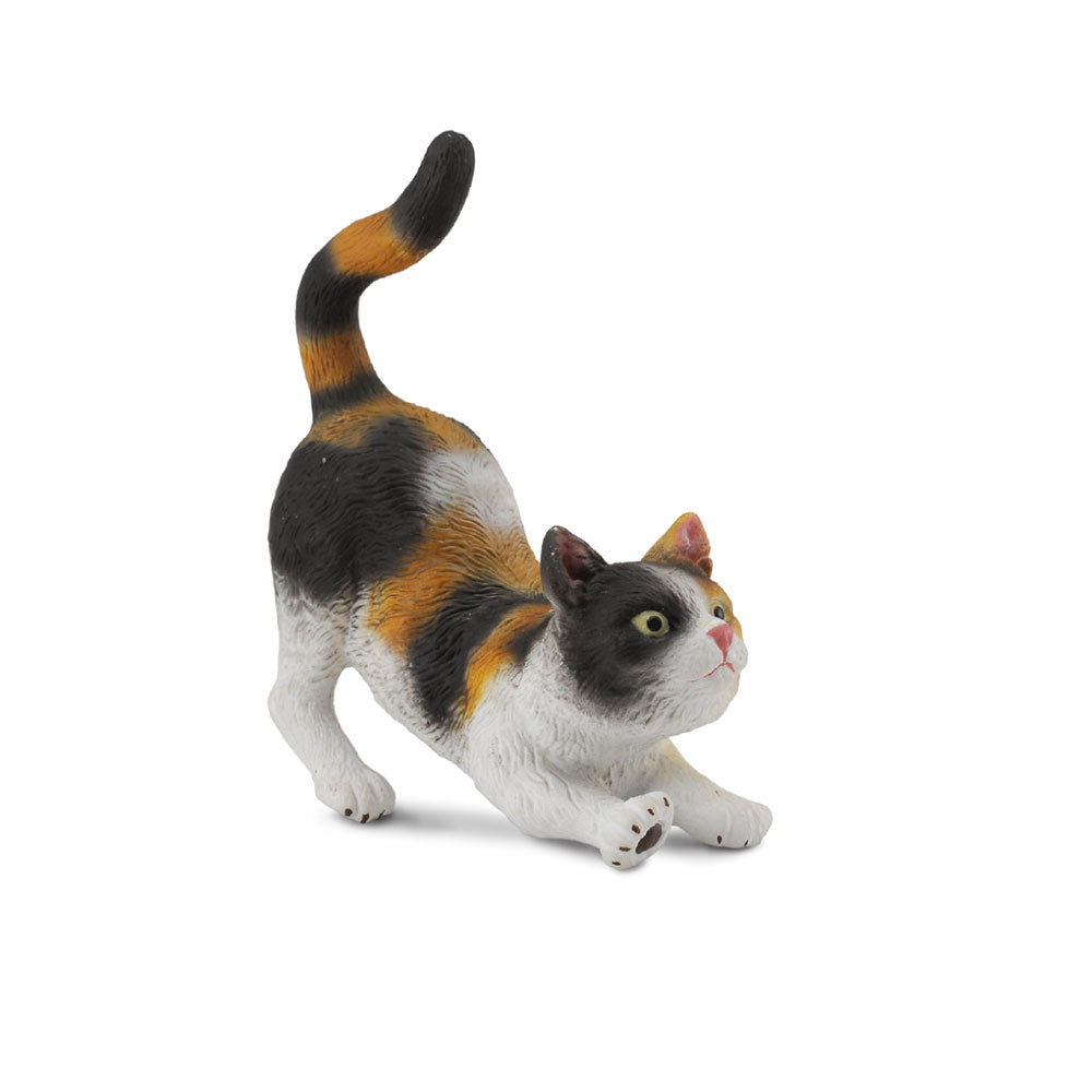 CollectA Moggy Cat Figure (Small)