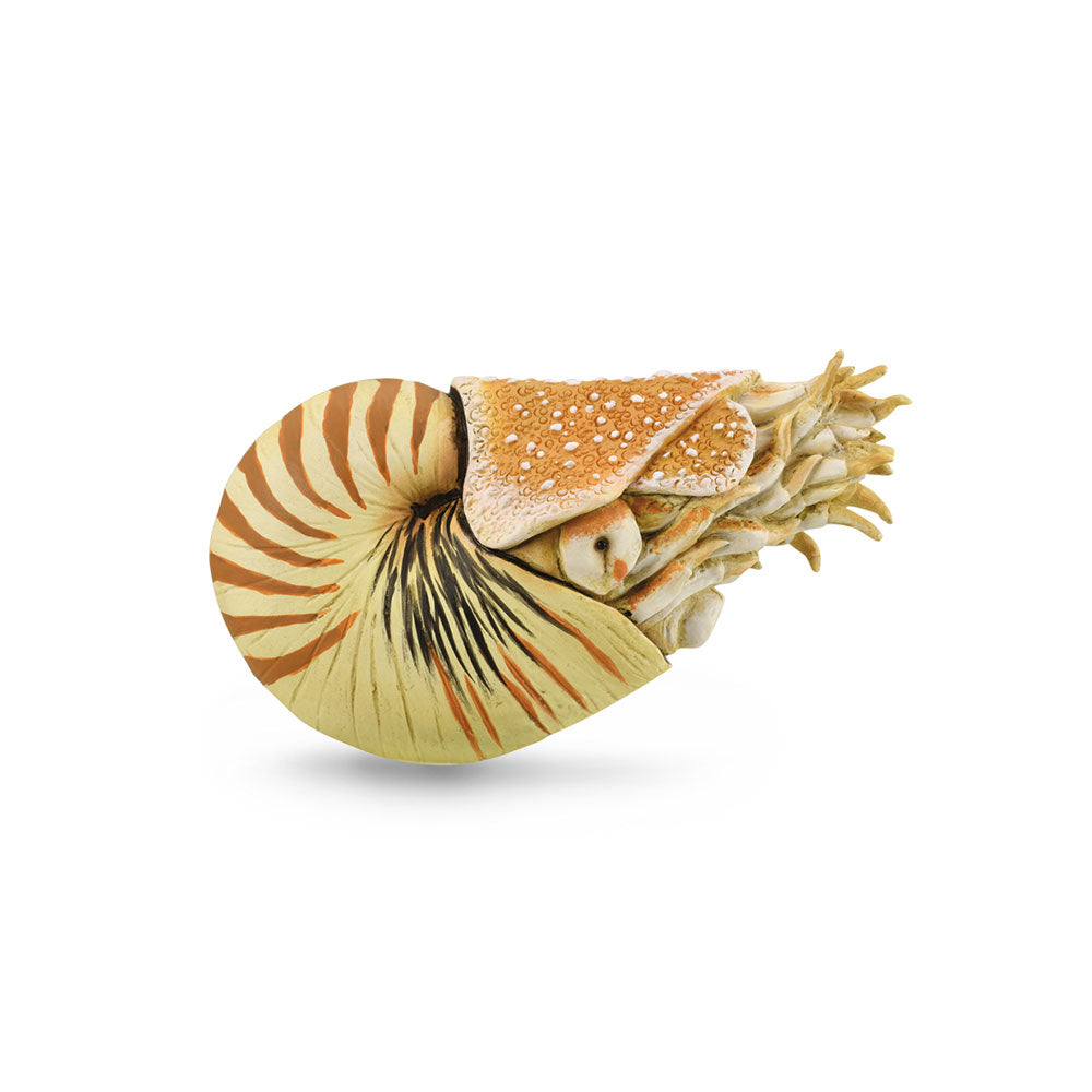 CollectA Nautilus Pompilius Figure (Extra Large)