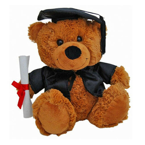 Elka Bear Jelly Graduation Soft Toy (Brown)