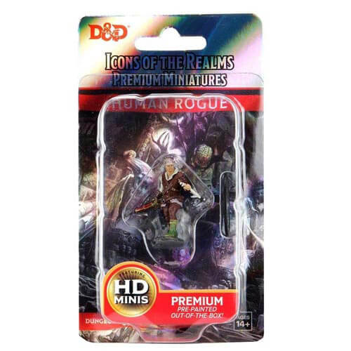 Dungeons & Dragons Premium Human Rogue Male Miniature