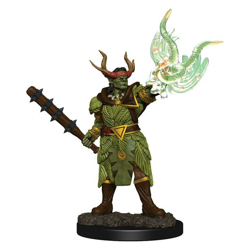 PATHFINDER BATTLES FIG dipinto di premium