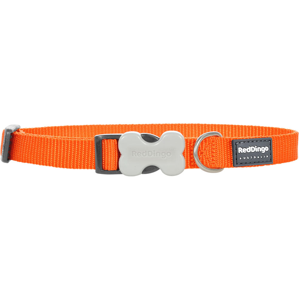 Collar per cani classico (arancione)