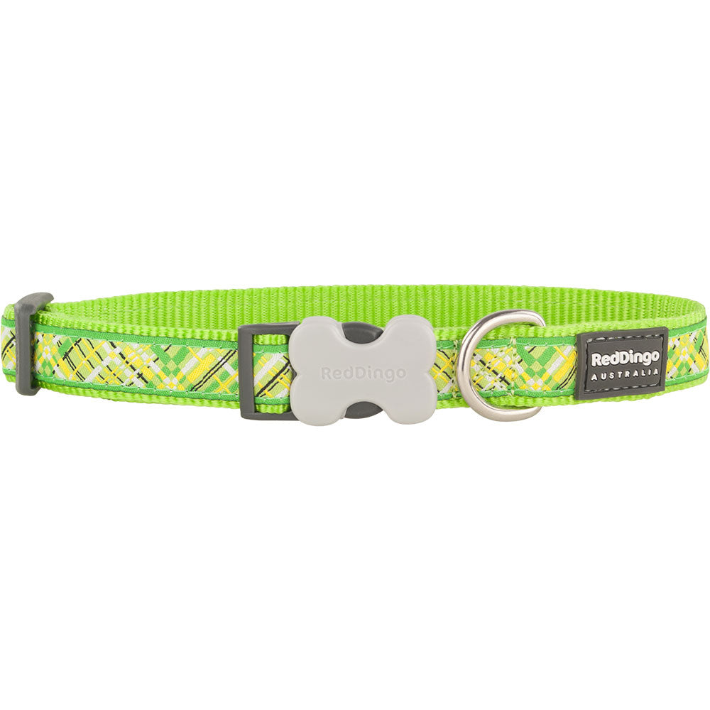 Collier de chien avec conception de flanno (vert lime)