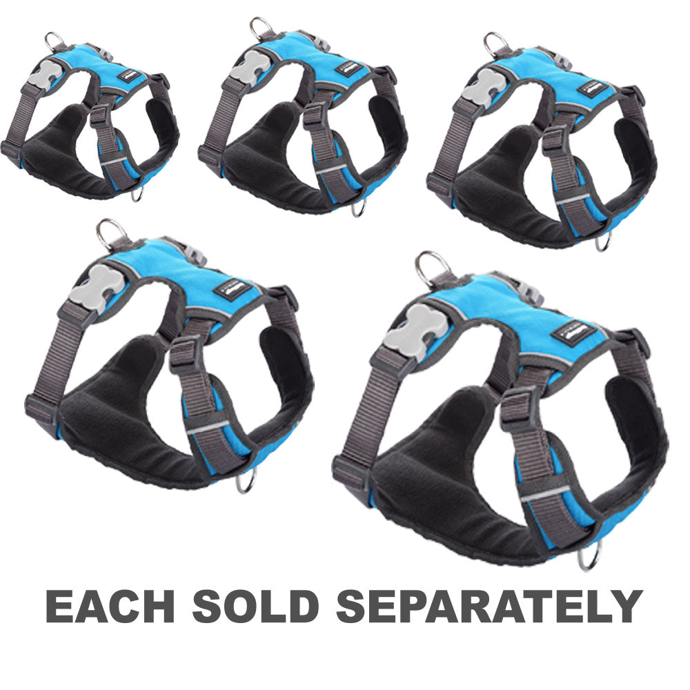 Padded Harness (Turquoise)