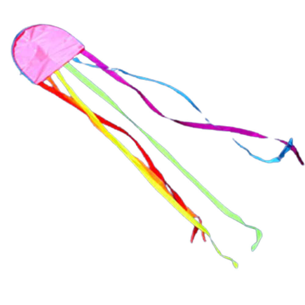 Windspeed Single String Kite